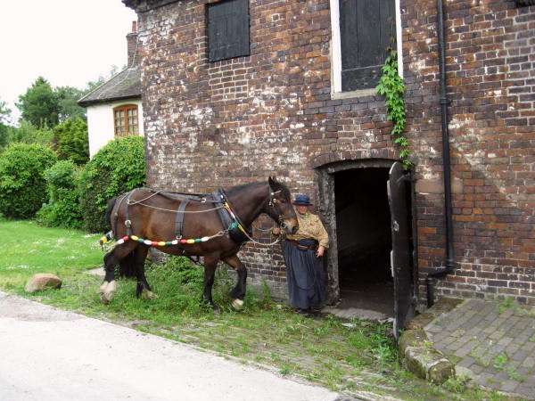 Wheelock stable