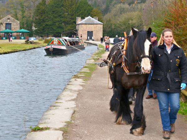 Birdswood on the Cromford Canal