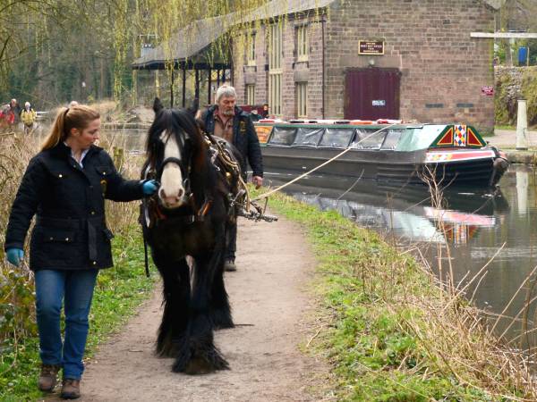 Birdswood on the Cromford Canal