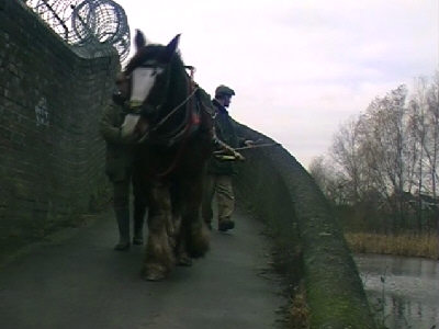 Dudley Canal