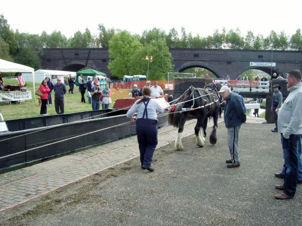 Parkhead Festival