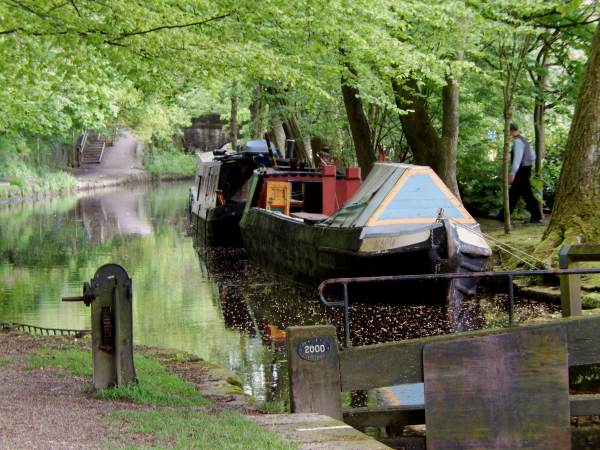 Maria on the Huddersfield Narrow