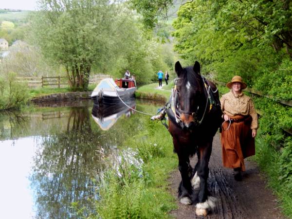 Maria on the Huddersfield Narrow