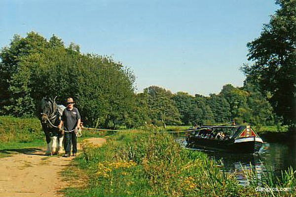 Iona on the River Wey