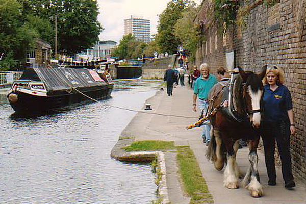 Iona on the River Wey