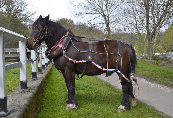 Elland on the Leeds and Liverpool Canal