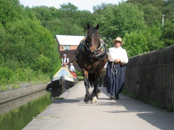 Maria at Marple