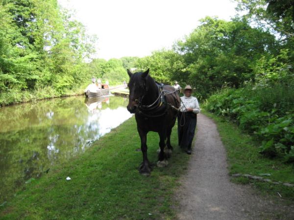 Maria at Marple