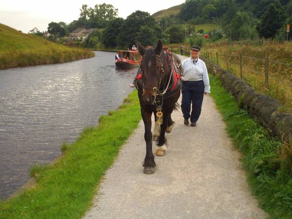 Vixen on the Rochdale Canal