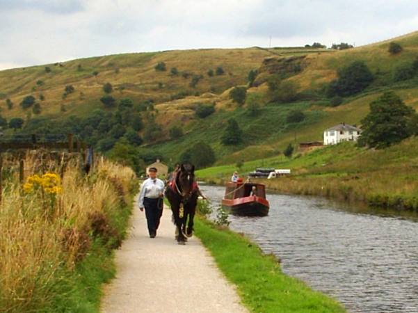 Vixen on the Rochdale Canal