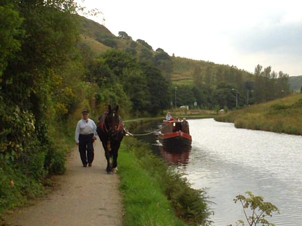 Vixen on the Rochdale Canal