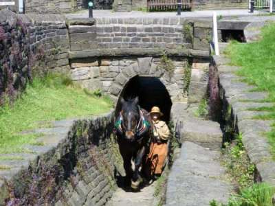 Horse tunnel in Marple. Photo: John Lupton