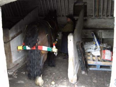 Wheelock Stables. Photo: Warwick Burton