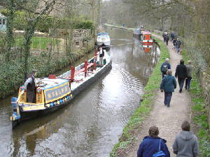 Maria horse drawn on the Peak Forest Canal