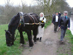 Maria horse drawn on the Peak Forest Canal