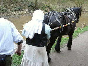 Maria horse drawn on the Peak Forest Canal