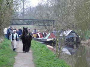 Maria horse drawn on the Peak Forest Canal