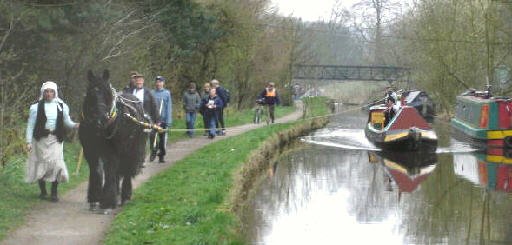 Maria horse drawn on the Peak Forest Canal