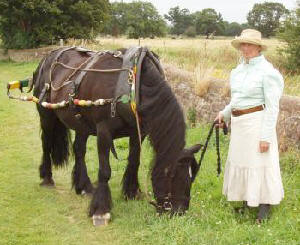 Maria horse drawn on the Trent and Mersey Canal