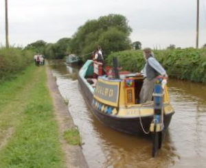 Maria horse drawn on the Trent and Mersey Canal